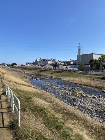 もう春も目の前です♪